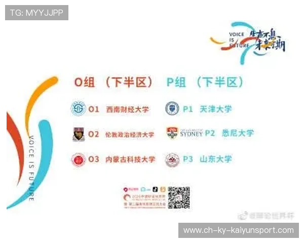 世界杯后城市志愿者管理体系优化报告，城市志愿队
